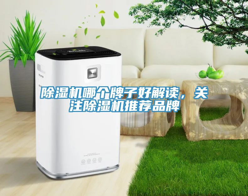 除濕機(jī)哪個(gè)牌子好解讀，關(guān)注除濕機(jī)推薦品牌