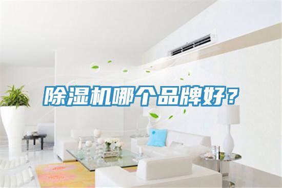 除濕機哪個品牌好？