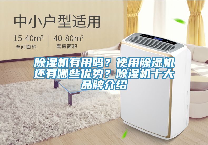 除濕機(jī)有用嗎？使用除濕機(jī)還有哪些優(yōu)勢(shì)？除濕機(jī)十大品牌介紹