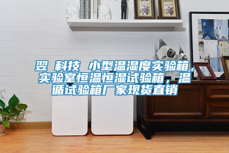 翌昇科技 小型溫濕度實(shí)驗(yàn)箱，實(shí)驗(yàn)室恒溫恒濕試驗(yàn)箱，溫循試驗(yàn)箱廠家現(xiàn)貨直銷