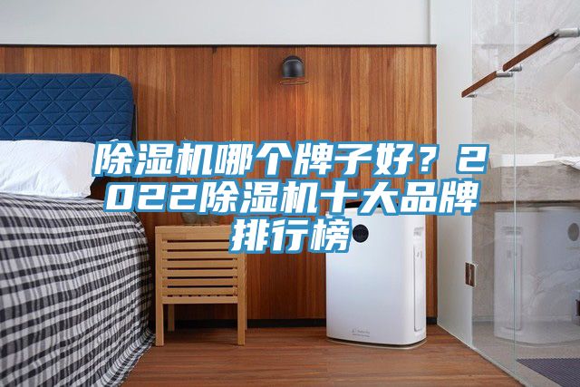 除濕機(jī)哪個(gè)牌子好？2022除濕機(jī)十大品牌排行榜