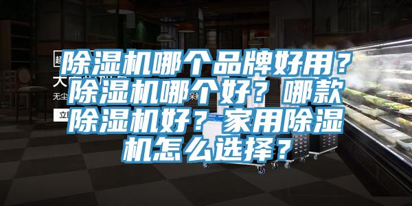 除濕機(jī)哪個(gè)品牌好用？除濕機(jī)哪個(gè)好？哪款除濕機(jī)好？家用除濕機(jī)怎么選擇？
