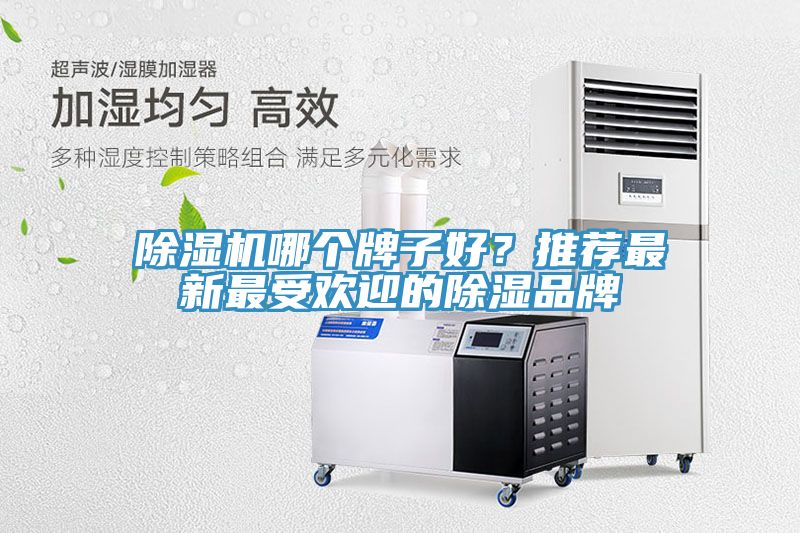 除濕機(jī)哪個(gè)牌子好？推薦最新最受歡迎的除濕品牌