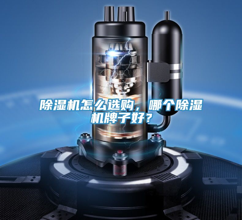 除濕機怎么選購，哪個除濕機牌子好？