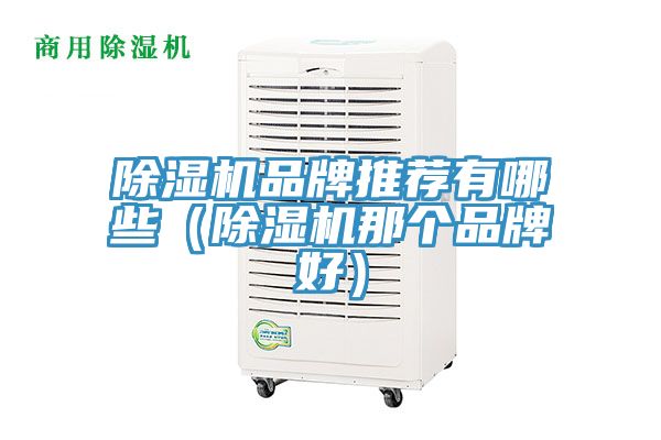 除濕機(jī)品牌推薦有哪些（除濕機(jī)那個(gè)品牌好）