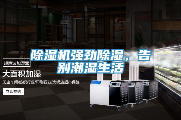 除濕機強勁除濕，告別潮濕生活