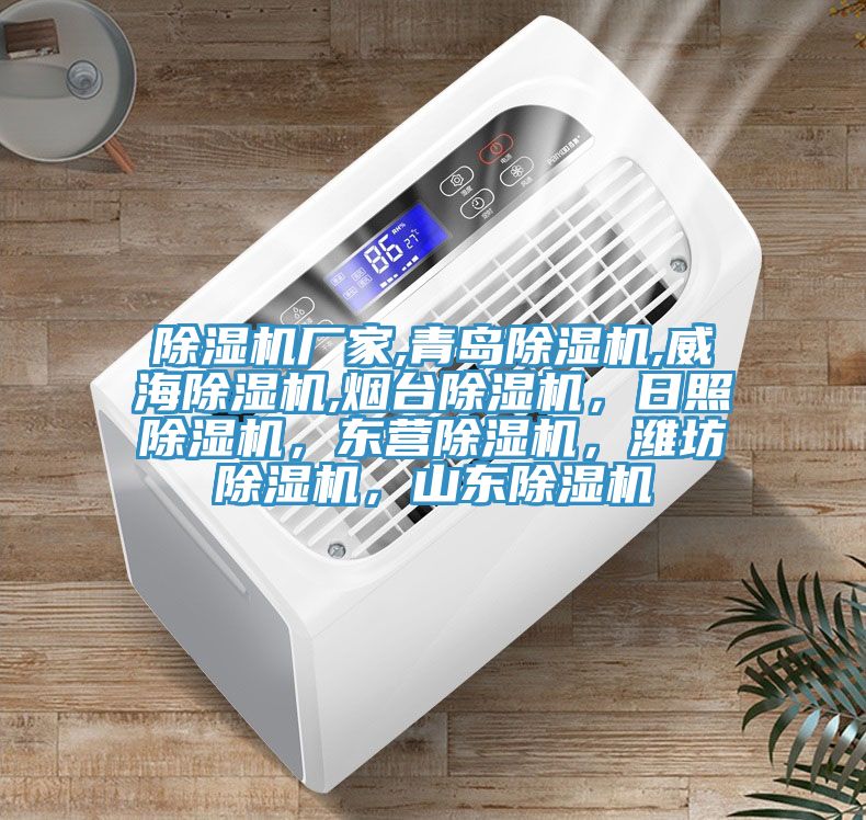 除濕機(jī)廠家,青島除濕機(jī),威海除濕機(jī),煙臺(tái)除濕機(jī)，日照除濕機(jī)，東營(yíng)除濕機(jī)，濰坊除濕機(jī)，山東除濕機(jī)