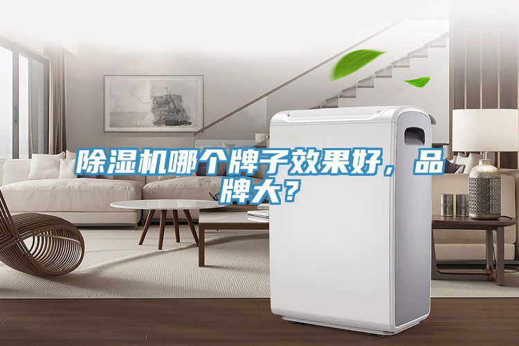 除濕機(jī)哪個(gè)牌子效果好，品牌大？