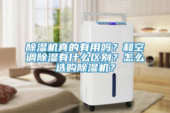除濕機真的有用嗎？和空調(diào)除濕有什么區(qū)別？怎么選購除濕機？