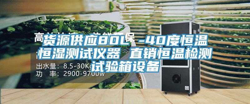 貨源供應(yīng)80L -40度恒溫恒濕測(cè)試儀器 直銷恒溫檢測(cè)試驗(yàn)箱設(shè)備