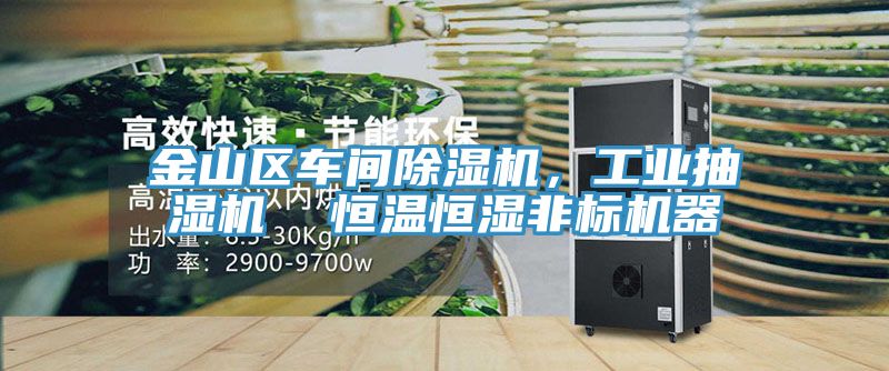 金山區(qū)車間除濕機，工業(yè)抽濕機  恒溫恒濕非標機器