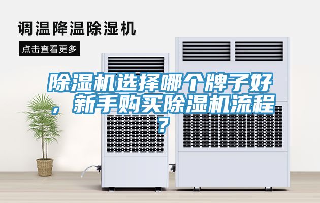 除濕機(jī)選擇哪個(gè)牌子好，新手購(gòu)買(mǎi)除濕機(jī)流程？