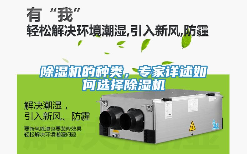 除濕機(jī)的種類，專家詳述如何選擇除濕機(jī)