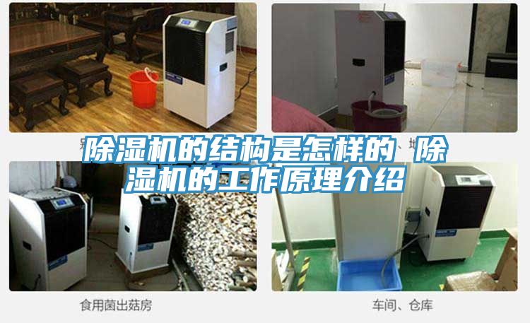 除濕機(jī)的結(jié)構(gòu)是怎樣的 除濕機(jī)的工作原理介紹
