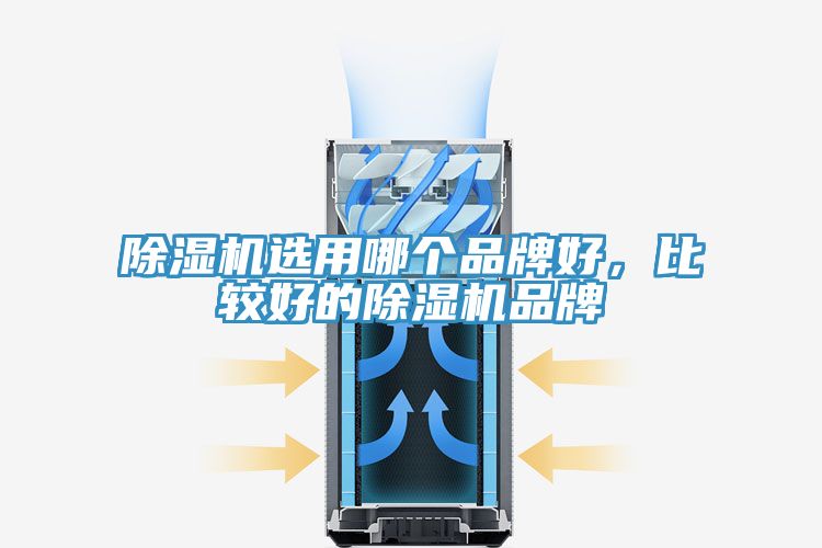 除濕機(jī)選用哪個(gè)品牌好，比較好的除濕機(jī)品牌