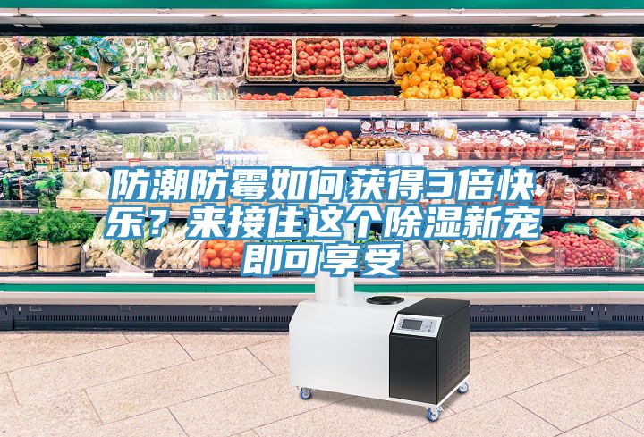 防潮防霉如何獲得3倍快樂？來接住這個除濕新寵即可享受