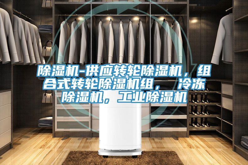 除濕機-供應(yīng)轉(zhuǎn)輪除濕機，組合式轉(zhuǎn)輪除濕機組， 冷凍除濕機，工業(yè)除濕機