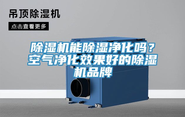 除濕機能除濕凈化嗎？空氣凈化效果好的除濕機品牌