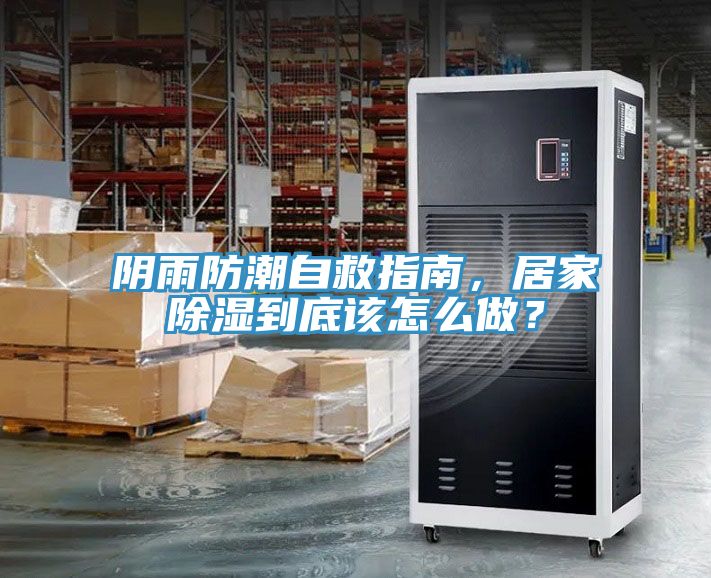 陰雨防潮自救指南，居家除濕到底該怎么做？