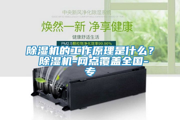 除濕機(jī)的工作原理是什么？ 除濕機(jī)-網(wǎng)點(diǎn)覆蓋全國(guó)-專(zhuān)