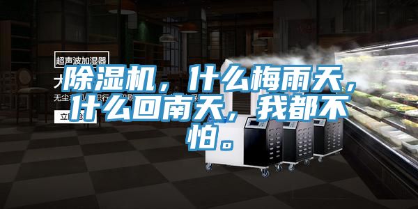 除濕機(jī)，什么梅雨天，什么回南天，我都不怕。