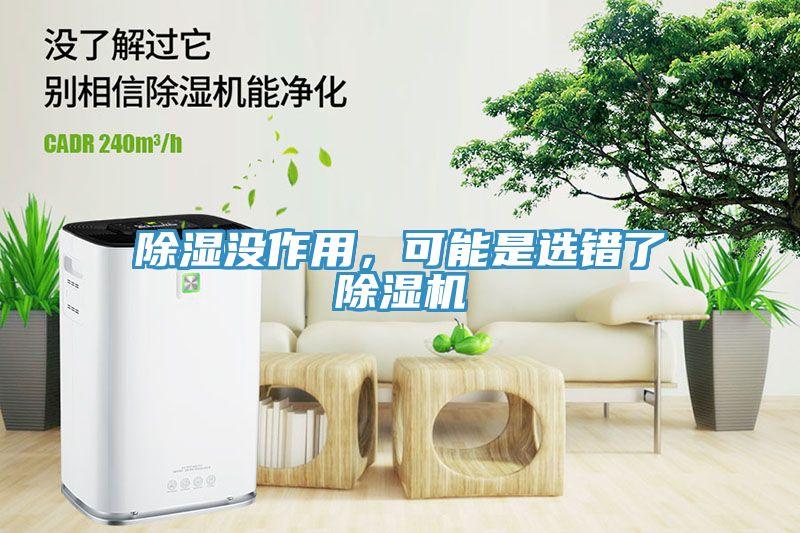 除濕沒作用，可能是選錯了除濕機