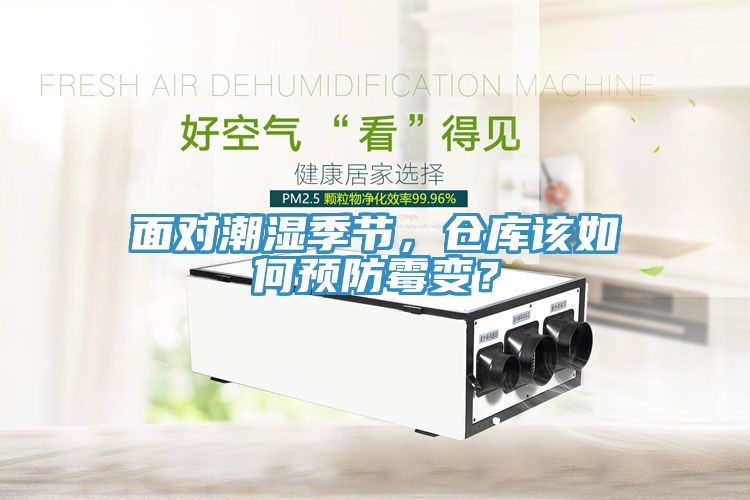 面對潮濕季節(jié)，倉庫該如何預(yù)防霉變？