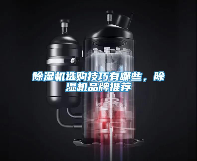 除濕機(jī)選購技巧有哪些，除濕機(jī)品牌推薦