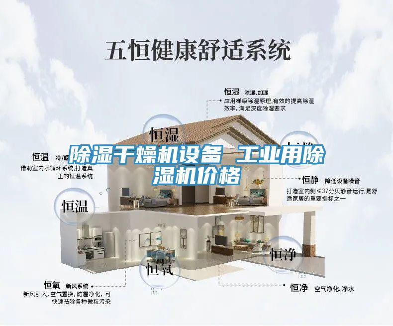 除濕干燥機設備 工業(yè)用除濕機價格