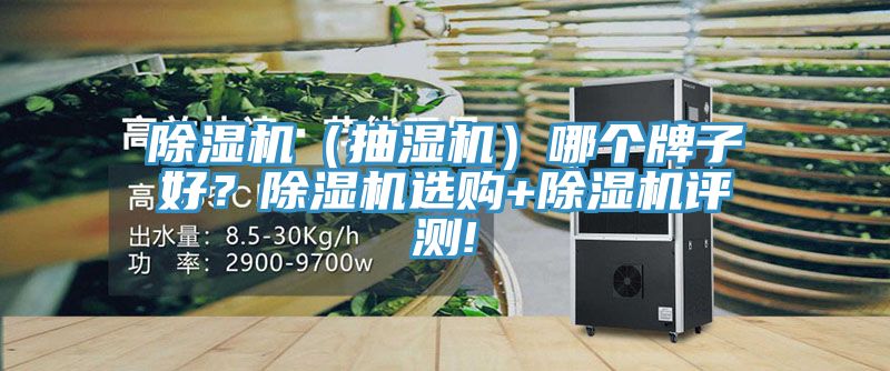 除濕機(jī)（抽濕機(jī)）哪個(gè)牌子好？除濕機(jī)選購+除濕機(jī)評(píng)測(cè)!