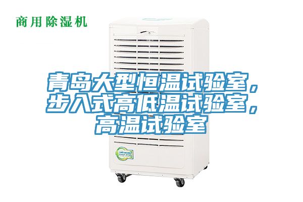 青島大型恒溫試驗室，步入式高低溫試驗室，高溫試驗室