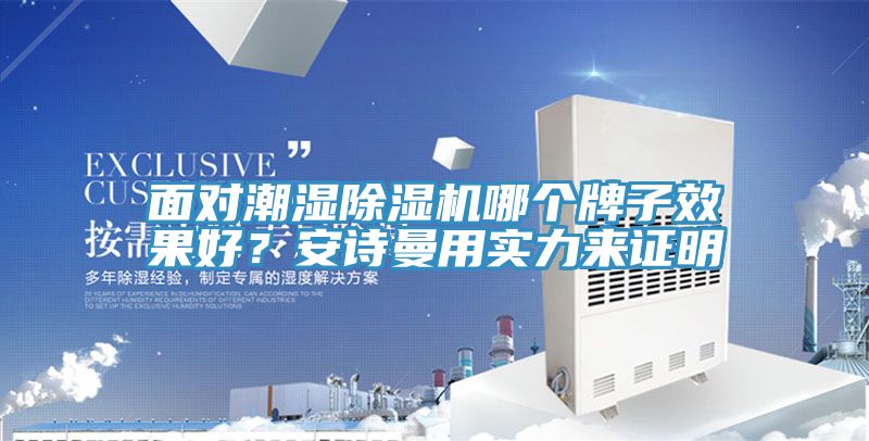面對潮濕除濕機哪個牌子效果好？安詩曼用實力來證明