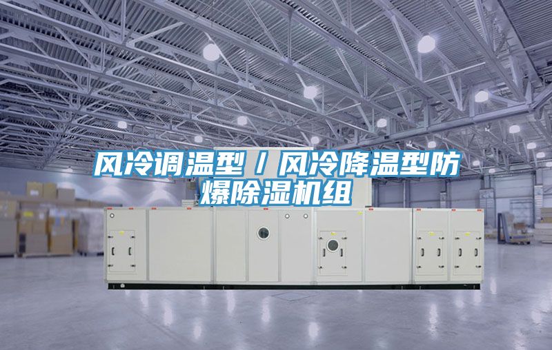 風(fēng)冷調(diào)溫型／風(fēng)冷降溫型防爆除濕機組