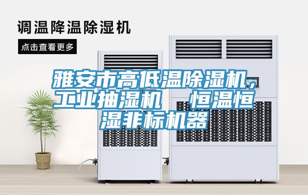 雅安市高低溫除濕機，工業(yè)抽濕機  恒溫恒濕非標機器