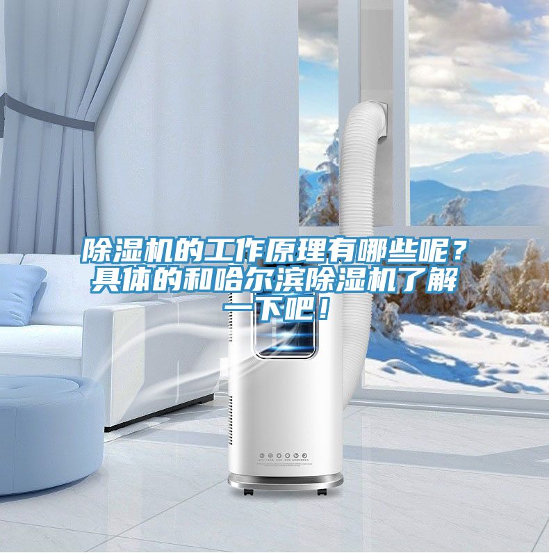 除濕機(jī)的工作原理有哪些呢？具體的和哈爾濱除濕機(jī)了解一下吧！