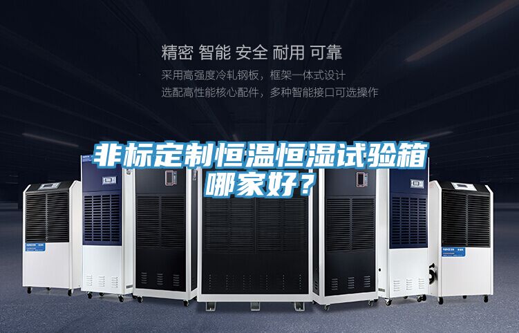 非標(biāo)定制恒溫恒濕試驗箱哪家好？