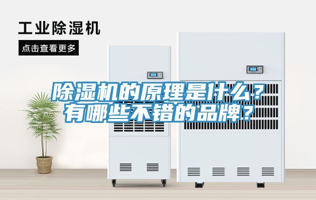 除濕機的原理是什么？有哪些不錯的品牌？