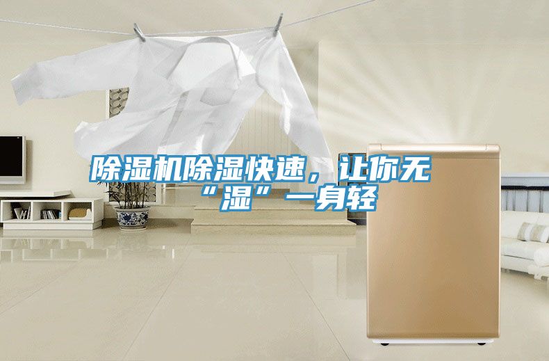 除濕機除濕快速，讓你無“濕”一身輕