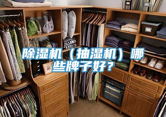 除濕機(jī)（抽濕機(jī)）哪些牌子好？
