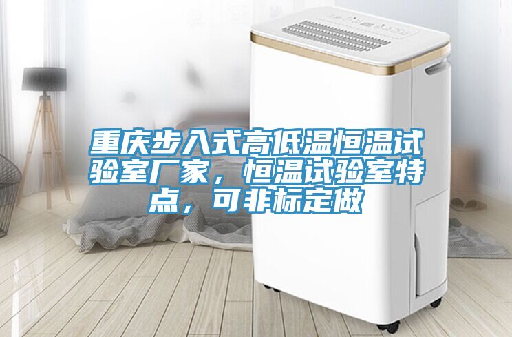 重慶步入式高低溫恒溫試驗(yàn)室廠家，恒溫試驗(yàn)室特點(diǎn)，可非標(biāo)定做