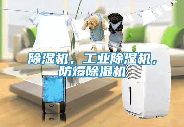 除濕機(jī)，工業(yè)除濕機(jī)，防爆除濕機(jī)