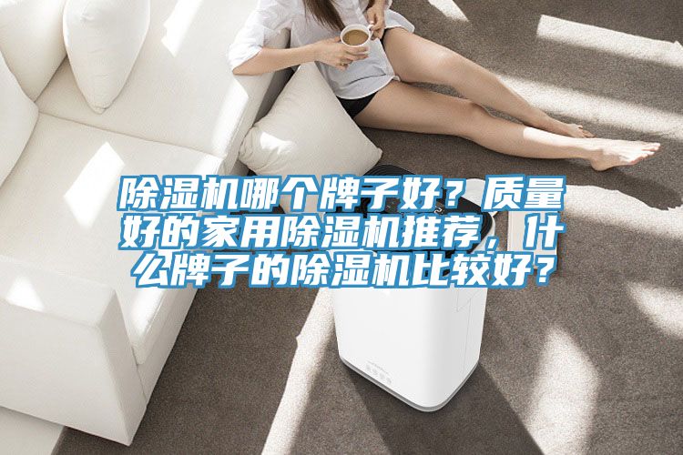 除濕機哪個牌子好？質(zhì)量好的家用除濕機推薦，什么牌子的除濕機比較好？