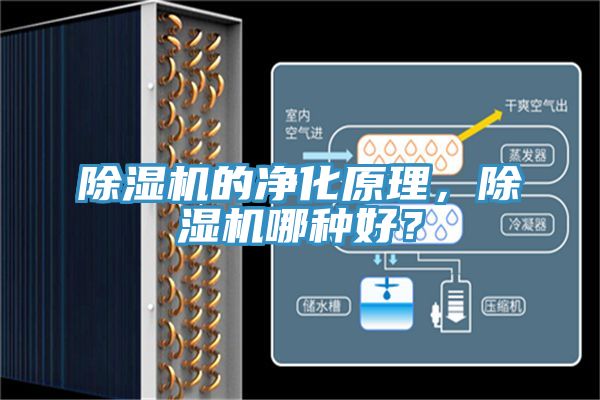 除濕機(jī)的凈化原理，除濕機(jī)哪種好？