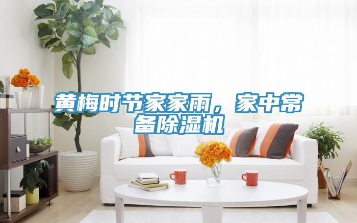 黃梅時節(jié)家家雨，家中常備除濕機