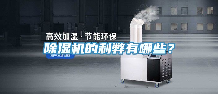 除濕機(jī)的利弊有哪些？