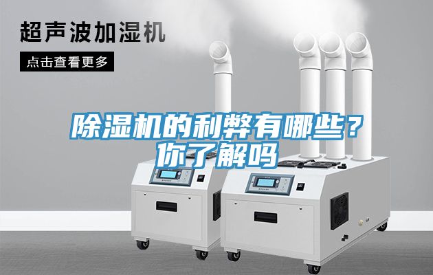 除濕機(jī)的利弊有哪些？你了解嗎