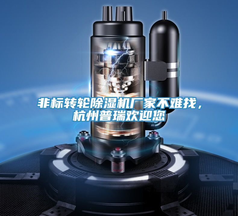 非標轉(zhuǎn)輪除濕機廠家不難找，杭州普瑞歡迎您