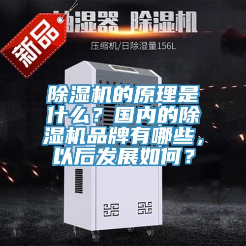 除濕機的原理是什么？國內(nèi)的除濕機品牌有哪些，以后發(fā)展如何？