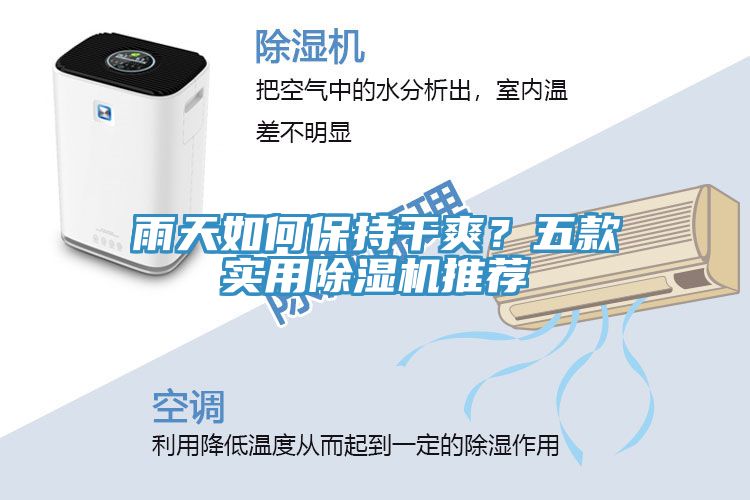 雨天如何保持干爽？五款實(shí)用除濕機(jī)推薦