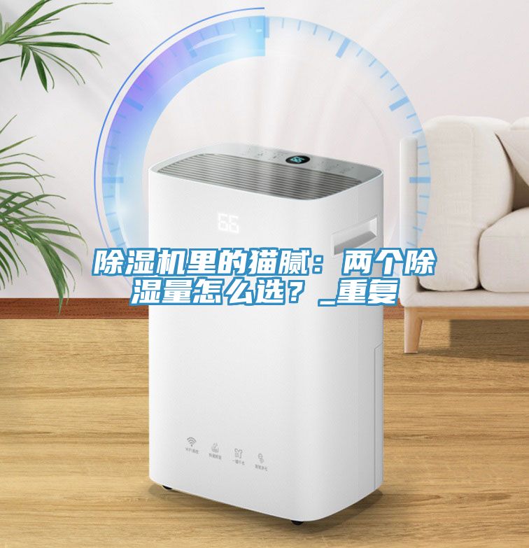 除濕機(jī)里的貓膩：兩個(gè)除濕量怎么選？_重復(fù)